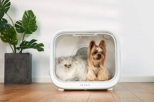 AIRSALON Smart Pet Dryer Box