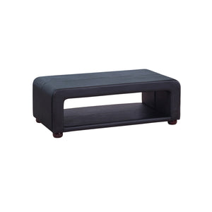 Black Upholstered Leather Coffee Table With Open Storage
