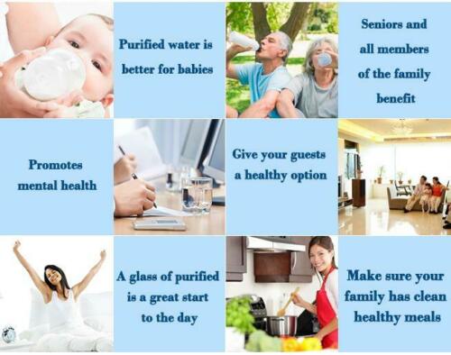 Aimex 20L Benchtop Water Purifier Dispenser with Maifan Stone and 3 Fluoride Filters