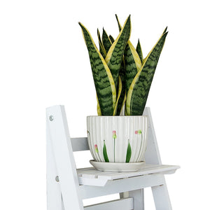 5 Tier Wooden Ladder Shelf Stand / Display Rack