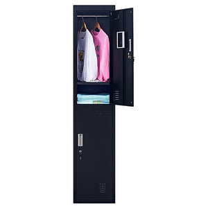 Standard Lock 2-Door Vertical Locker for Office Gym Shed School Home Storage Black