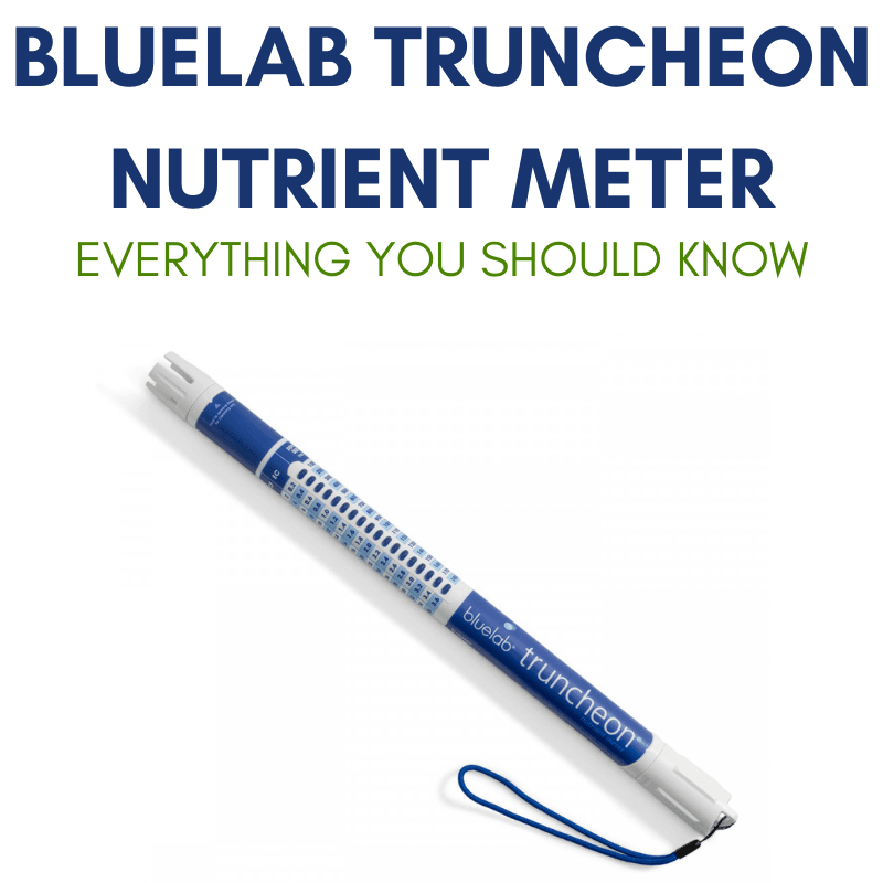 Everything You Should Know About the Bluelab Truncheon Nutrient Meter - The Hippie House