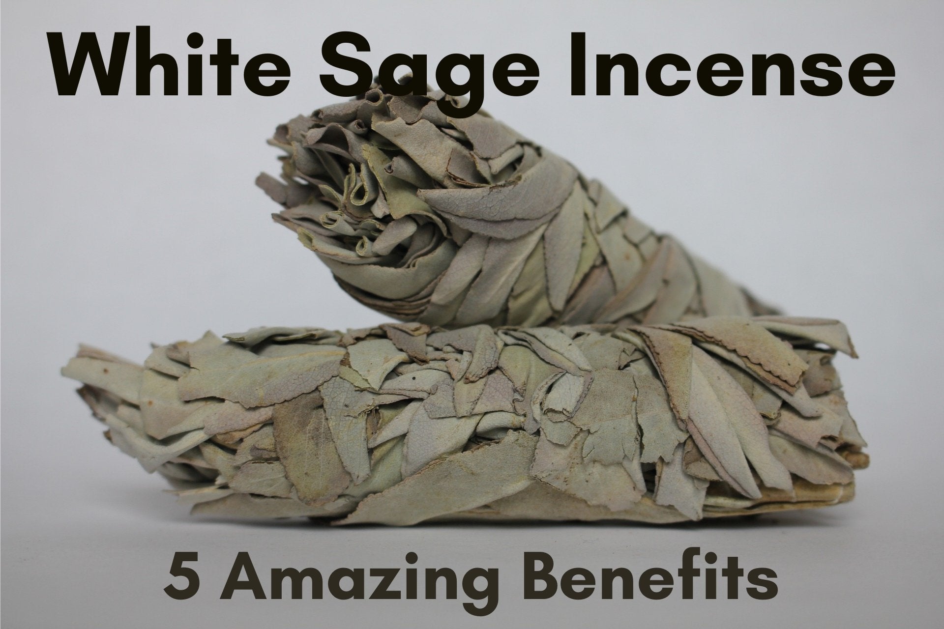 5 Amazing Benefits of White Sage - The Hippie House