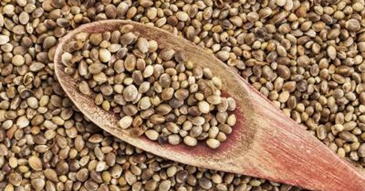 The Benefits Of Hemp Seed Oil & Hemp Seeds - The Ultimate Hemp Shop - The Hippie House
