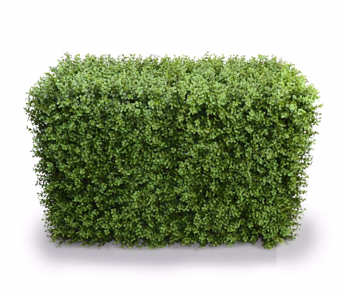 Deluxe Portable Buxus Hedges | UV Stabilized | 100cm Long x 55cm High | Artificial Greenery Decor