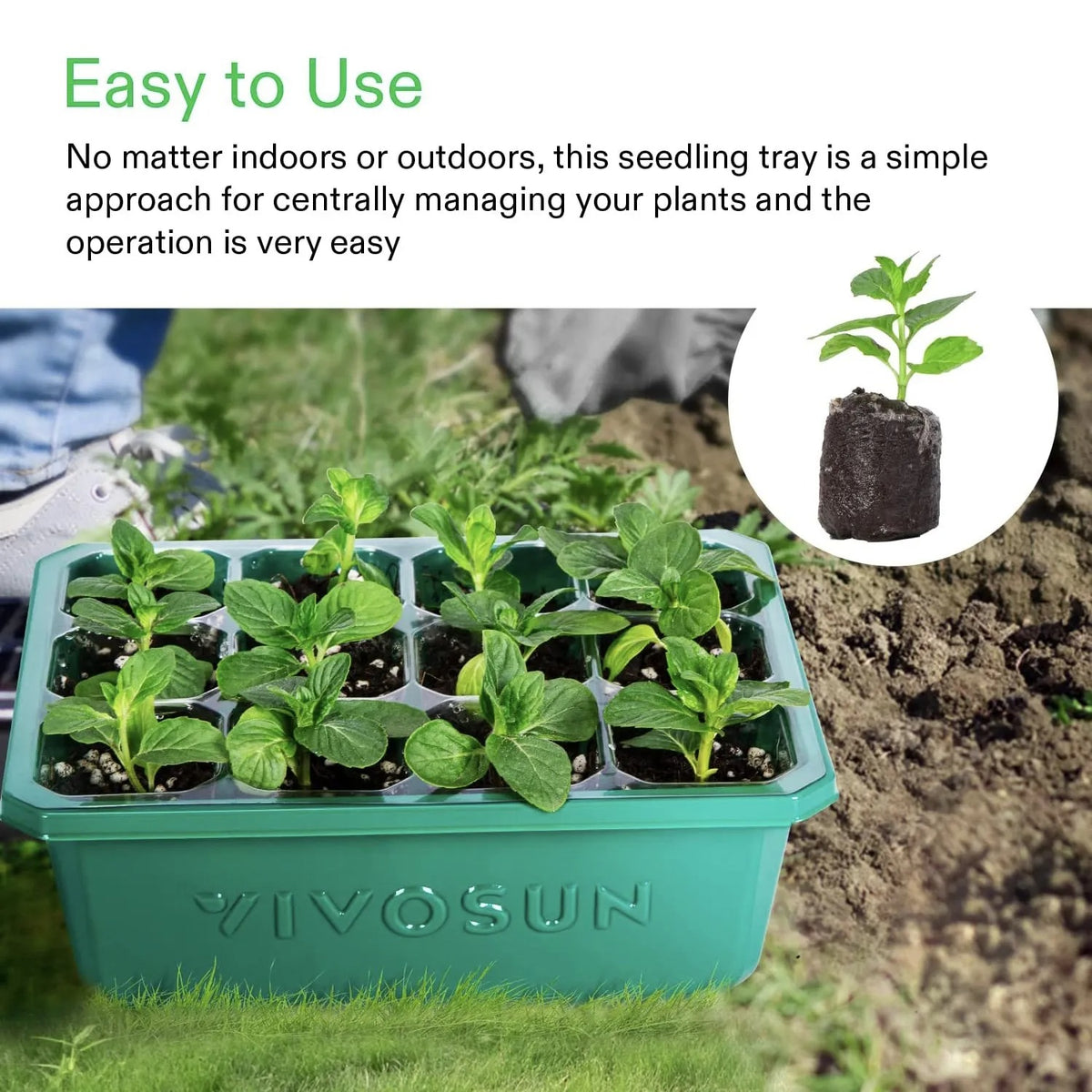 12-Pack Seed Starter Trays with Domes | 144-Cell Seedling Kit with Adjustable Humidity Vents, Drainage Holes & Base Trays