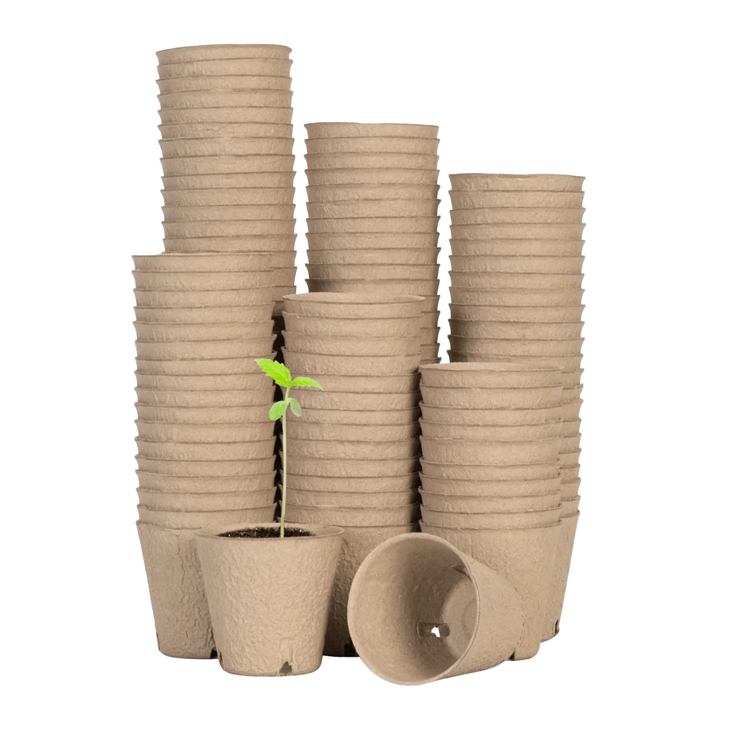 120-Pack Biodegradable Peat Pots | 3.15-Inch Round Seed Starting Pots with Drainage Holes + 20 Plant Labels (Copy) (Copy)
