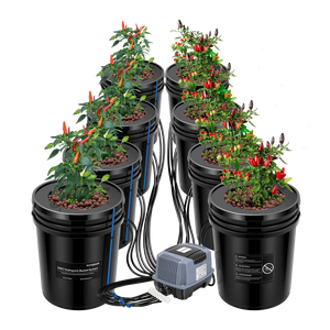 5 Gallon 8-Bucket DWC Hydroponic System Kit | Deep Water Culture + Drip Feed | Complete Recirculating System with 60L/min Air Pump, Clay Pebbles & Water Level Indicators
