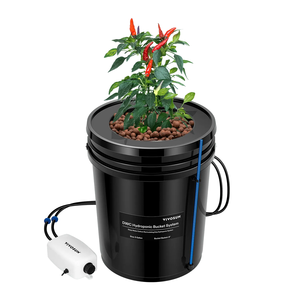 5 Gallon DWC Hydroponic System Kit | 2-in-1 Deep Water Culture + Drip Feed | Complete Grow Bucket Set with Air Pump, Clay Pebbles & Water Level Indicator