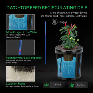 5 Gallon DWC Hydroponic System Kit | 2-in-1 Deep Water Culture + Drip Feed | Complete Grow Bucket Set with Air Pump, Clay Pebbles & Water Level Indicator
