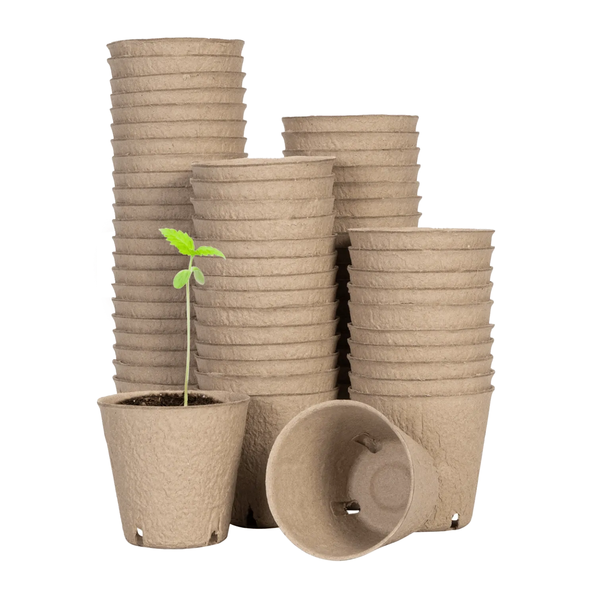 60-Pack Biodegradable Peat Pots | 3.15-Inch Round Seed Starting Pots with Drainage Holes + 20 Plant Labels (Copy)