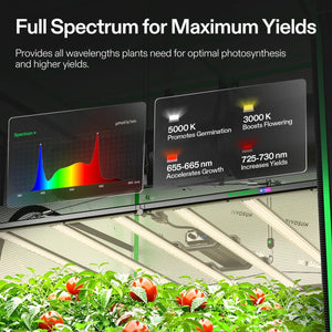 Large-Capacity Smart Grow Tent System | 5x5 ft | 750W Full Spectrum LED