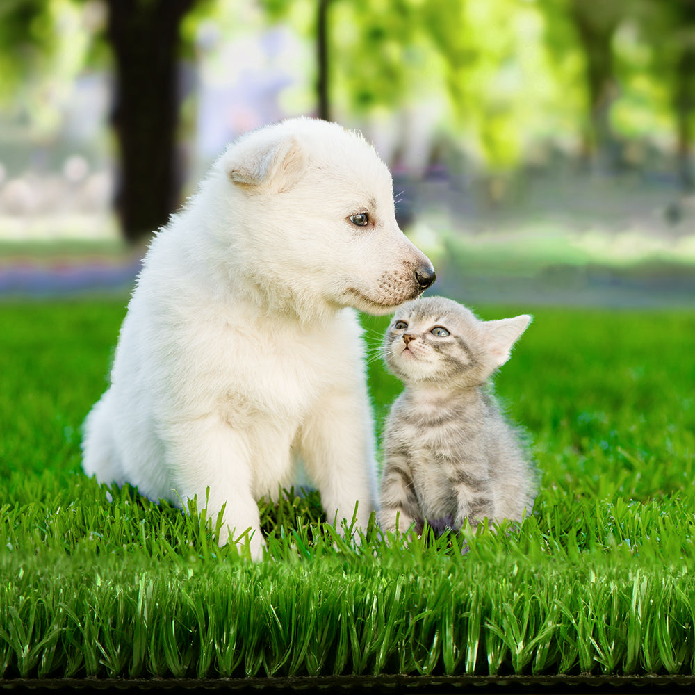 Primeturf Artificial Grass | 2mx10m | 17mm | Synthetic Fake Lawn Turf | Plastic Olive