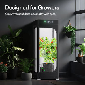 AeroStream U075 USB Humidifier | 750mL Compact Mist Humidifier with 2 Modes & Auto Shut-Off