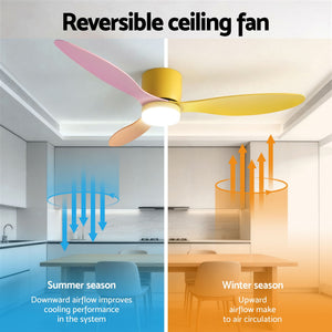 52 Inch Ceiling Fan with Light | 3 Blades | DC Motor | Remote | Multicolour