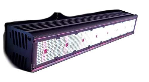 Fohse's Cobra Greenhouse LED Grow Light