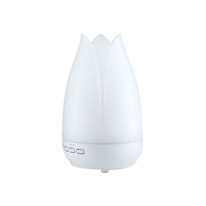 Devanti Ultrasonic Essential Oil Aroma Diffuser Aromatherapy Cool Mist Humidifier w/ LED Light 300ml