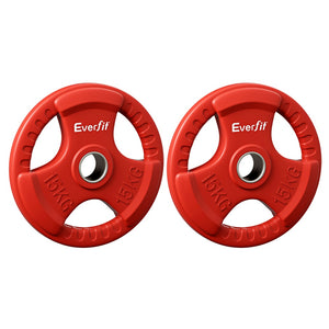 Everfit Weight Plates | Standard 15kgx2 | Dumbbell Barbell Plate | Weight Lifting | Home Gym | Red
