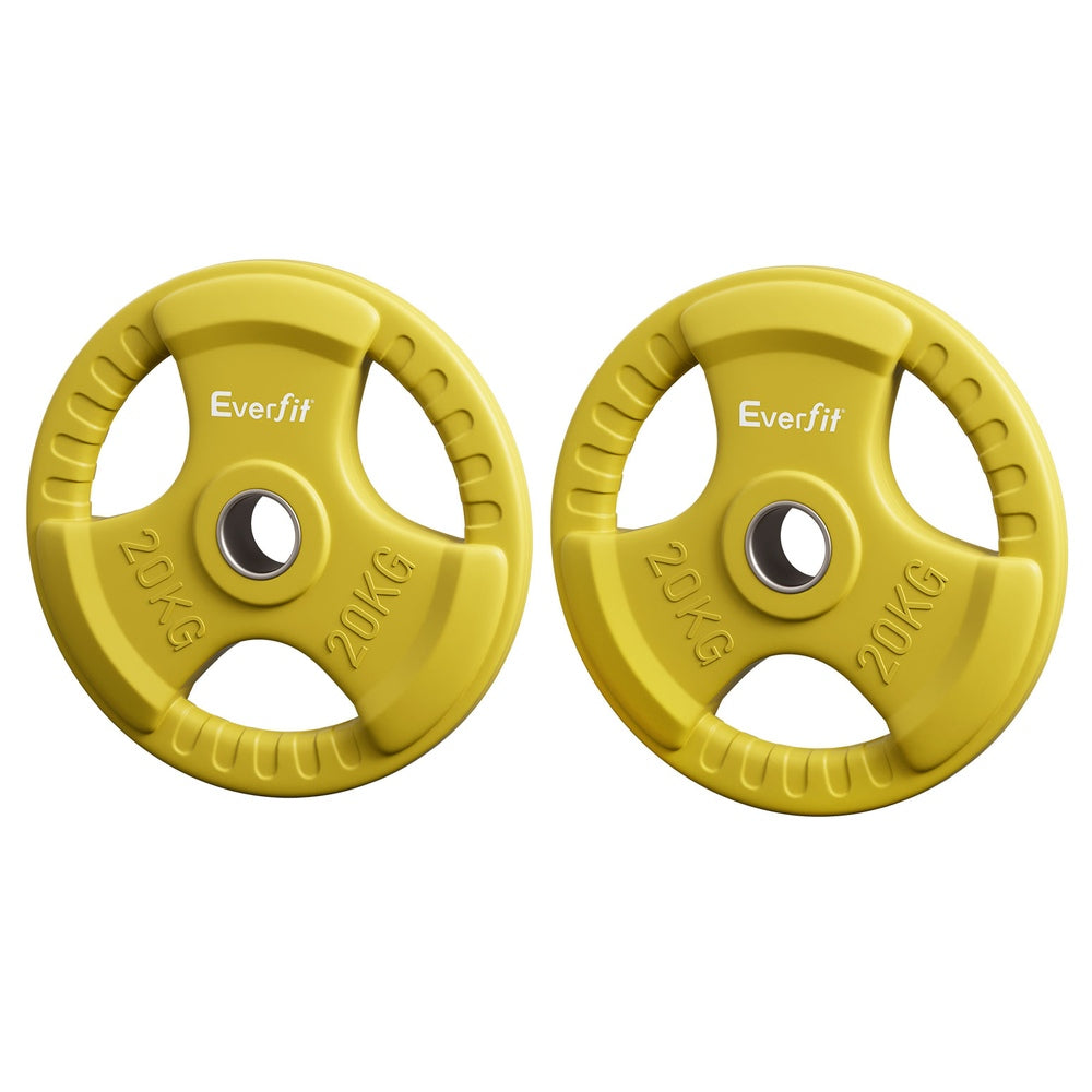Everfit Weight Plates | Standard 20kgx2 | Dumbbell Barbell Plate | Weight Lifting | Home Gym | Yellow