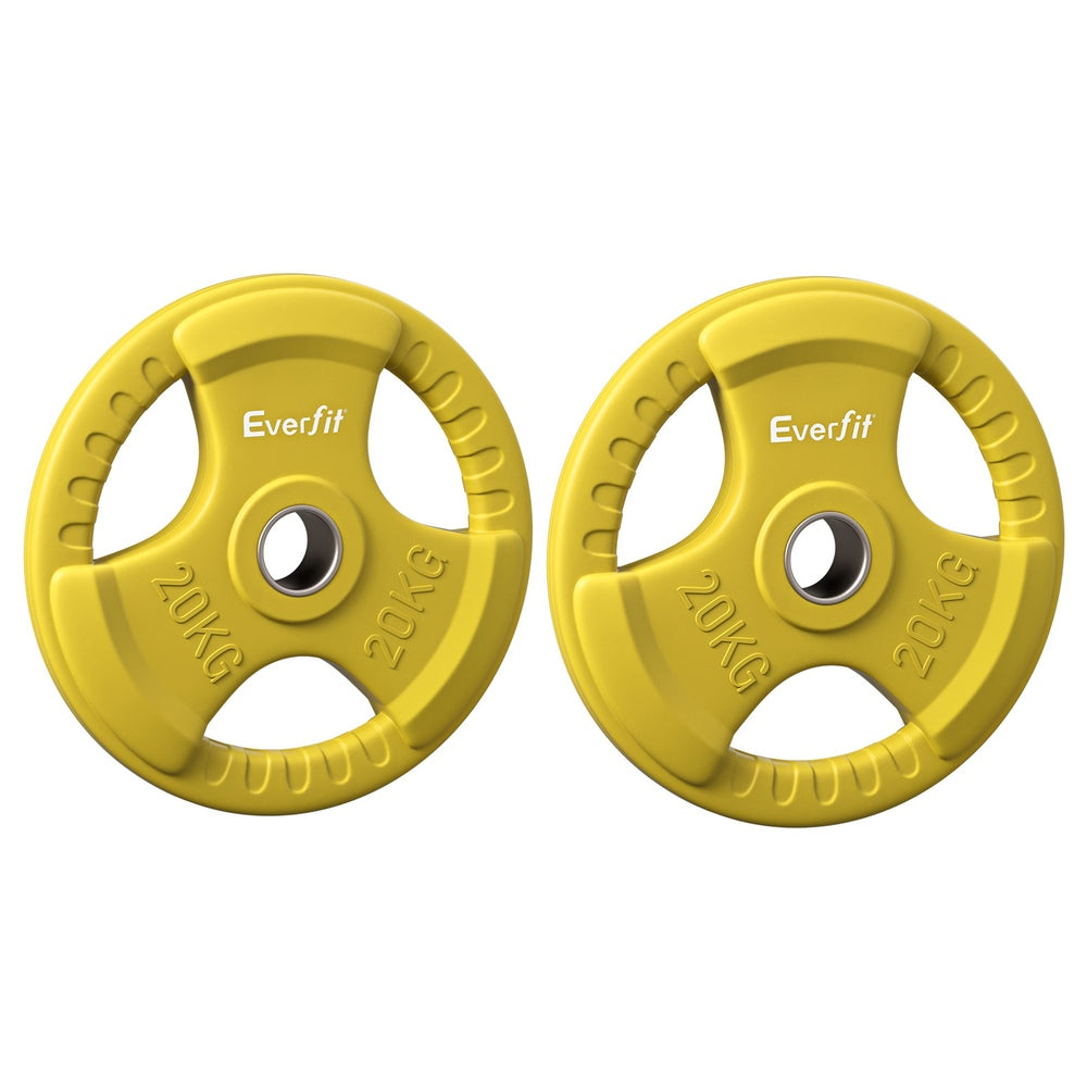 Everfit Weight Plates | Standard 20kgx2 | Dumbbell Barbell Plate | Weight Lifting | Home Gym | Yellow