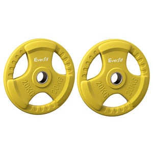 Everfit Weight Plates | Standard 20kgx2 | Dumbbell Barbell Plate | Weight Lifting | Home Gym | Yellow