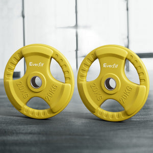 Everfit Weight Plates | Standard 20kgx2 | Dumbbell Barbell Plate | Weight Lifting | Home Gym | Yellow