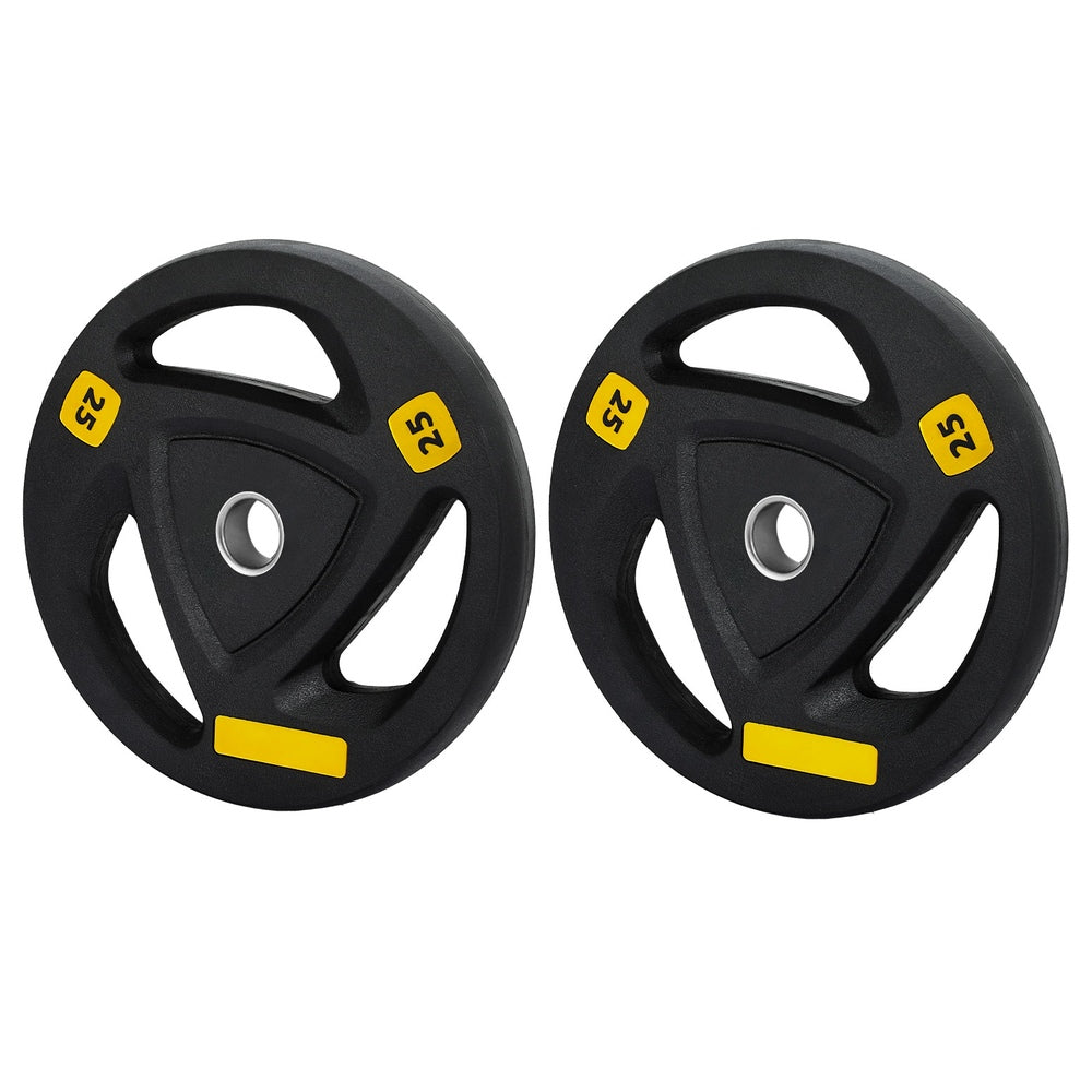 Everfit Weight Plates | Standard 25kgx2 | Dumbbells | Barbells Plate | Weight Lifting | Home Gym