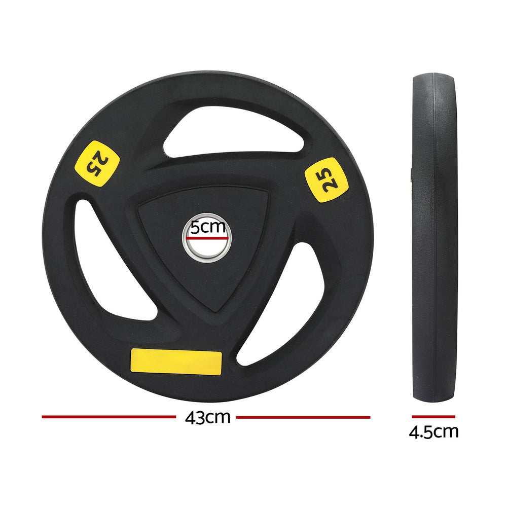 Everfit Weight Plates | Standard 25kgx2 | Dumbbells | Barbells Plate | Weight Lifting | Home Gym