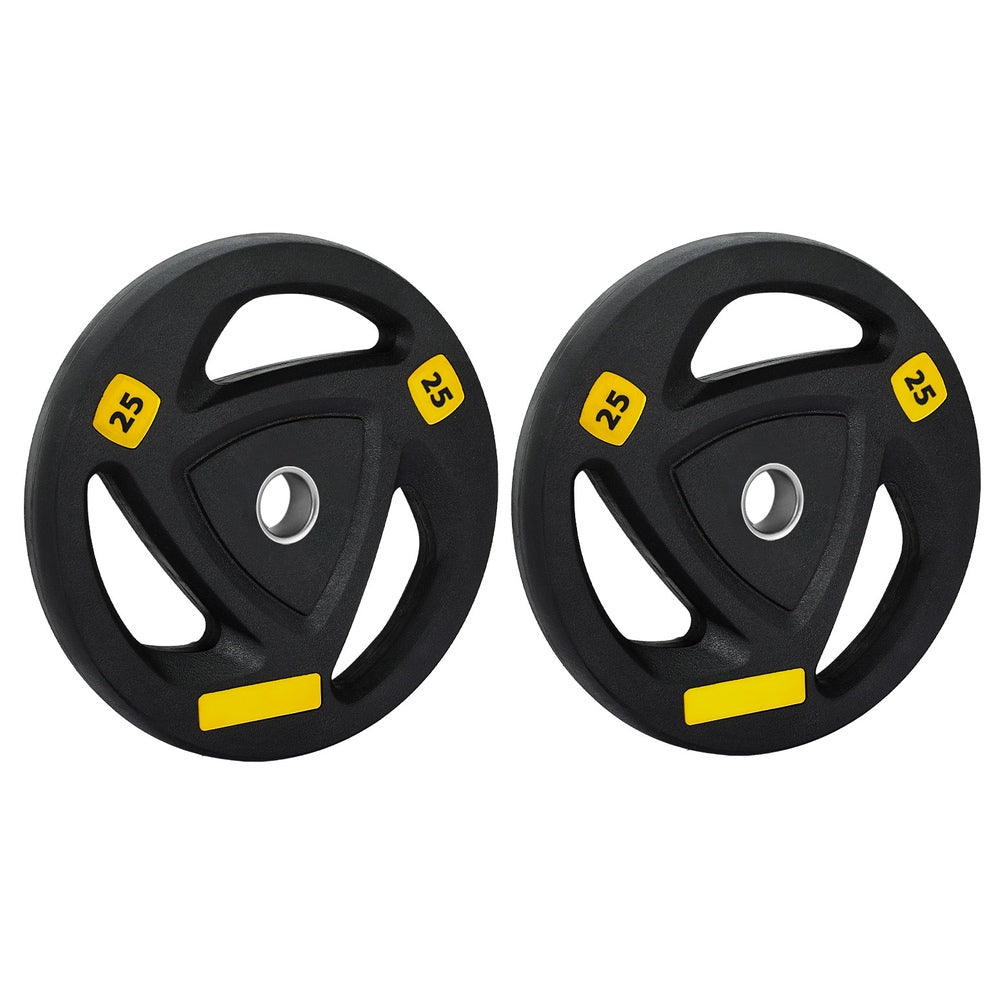 Everfit Weight Plates | Standard 25kgx2 | Dumbbells | Barbells Plate | Weight Lifting | Home Gym