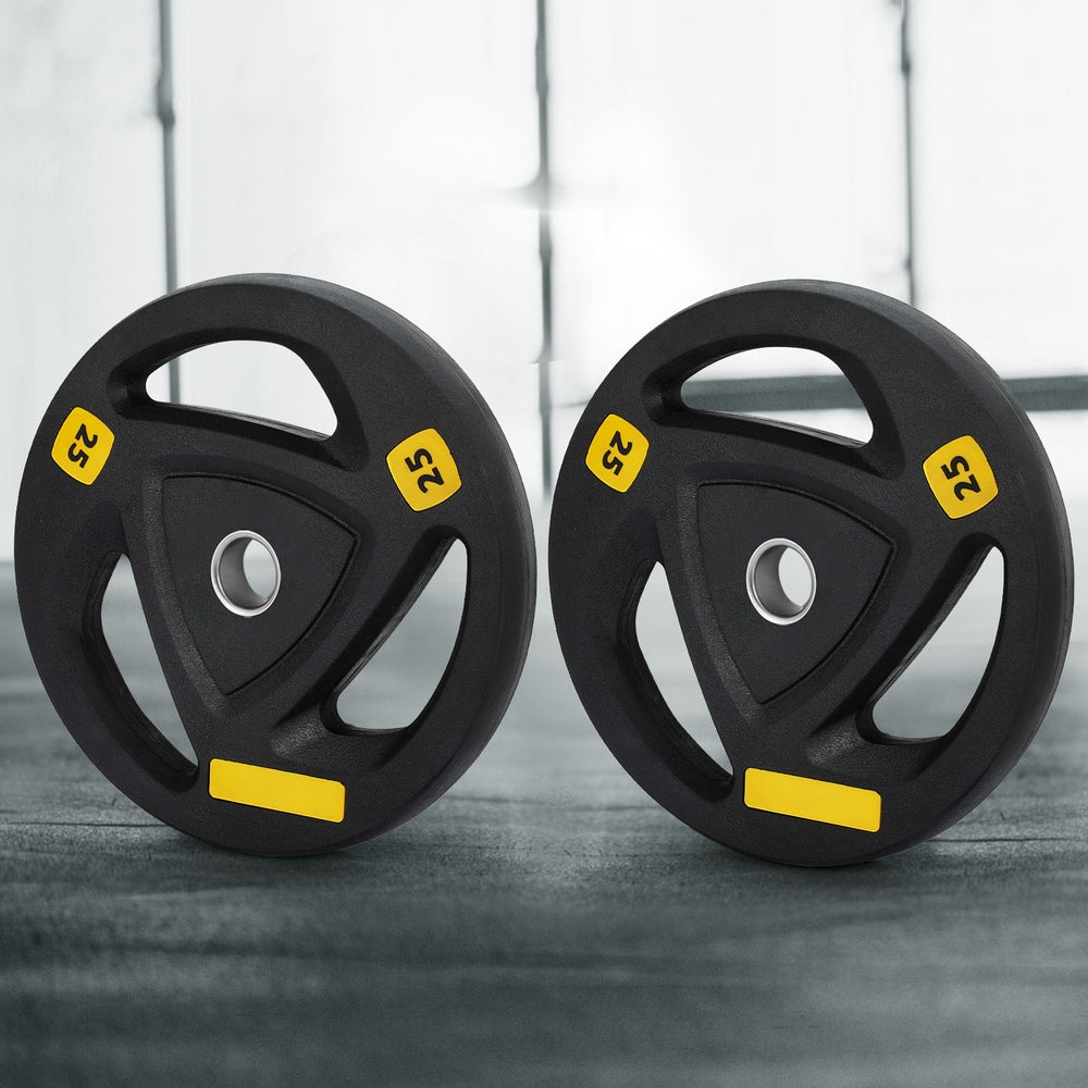 Everfit Weight Plates | Standard 25kgx2 | Dumbbells | Barbells Plate | Weight Lifting | Home Gym