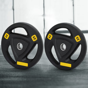 Everfit Weight Plates | Standard 25kgx2 | Dumbbells | Barbells Plate | Weight Lifting | Home Gym