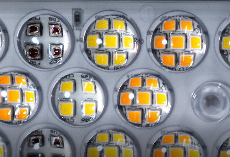 Fohse's A3i LED Grow Light | 1500W | Commercial Graded