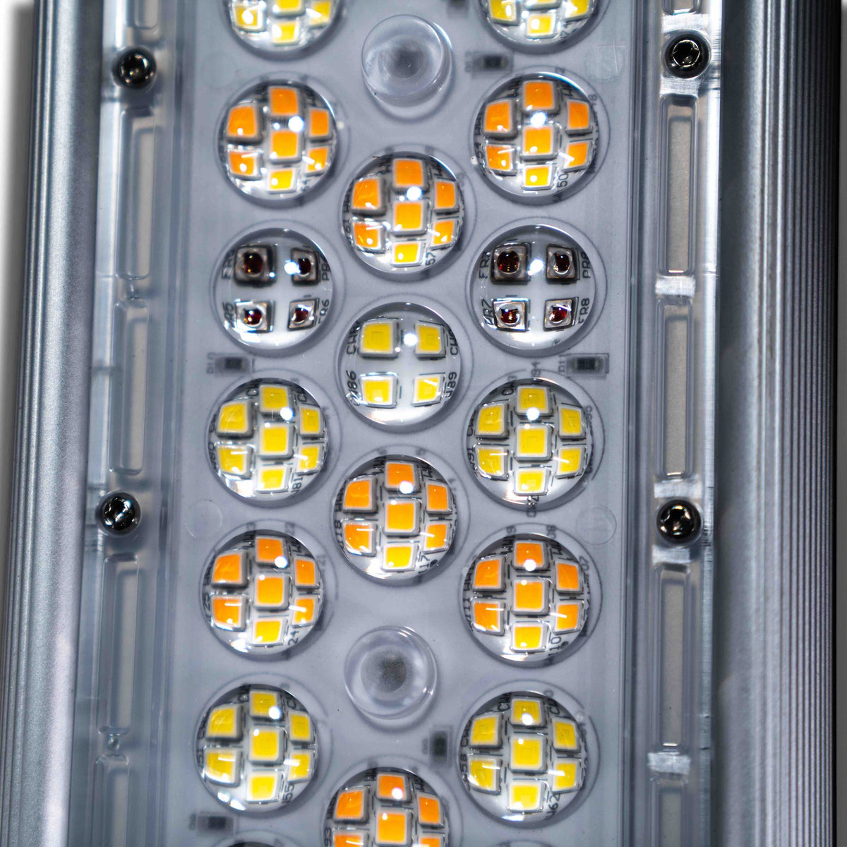 Fohse's Aries LED Grow Light | 640W | Commercial Graded