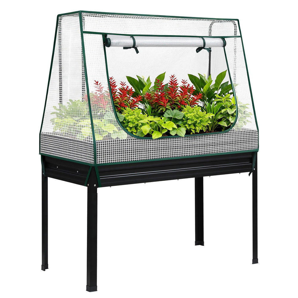 Elevated Garden Bed | 116x60cm | Metal Planter | Mini Greenhouse Cover + Trellis