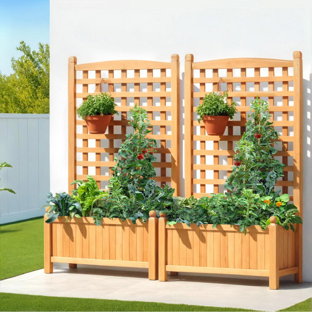 Green Fingers Garden Bed | 2X | 64x35x115cm | Wooden Planter with Trellis