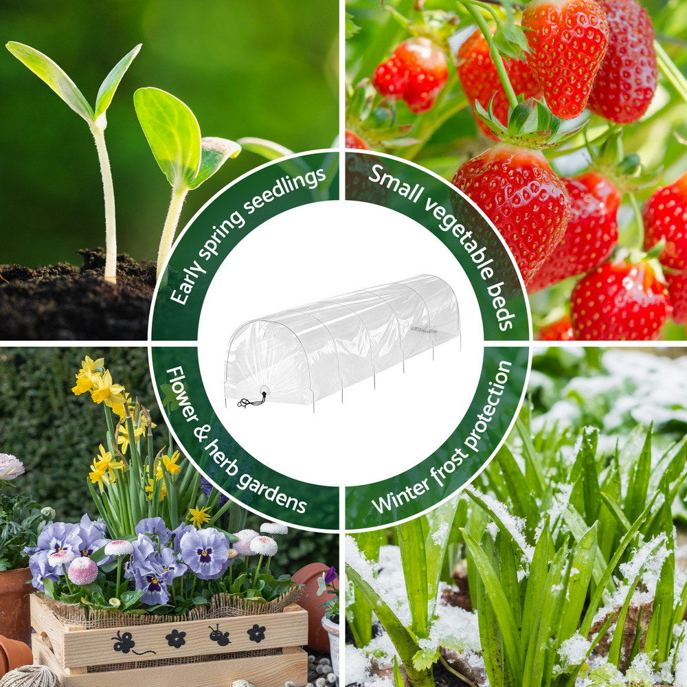 Mini Greenhouse Tunnel | 300x45x30cm | Clear PVC | Steel Frame | Portable