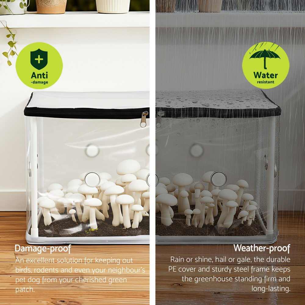 Mini Greenhouse | 50x25x25cm | PVC Cover | For Mushrooms & Succulents