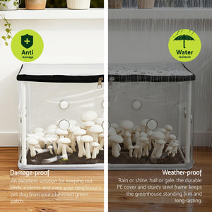 Mini Greenhouse | 50x25x25cm | PVC Cover | For Mushrooms & Succulents