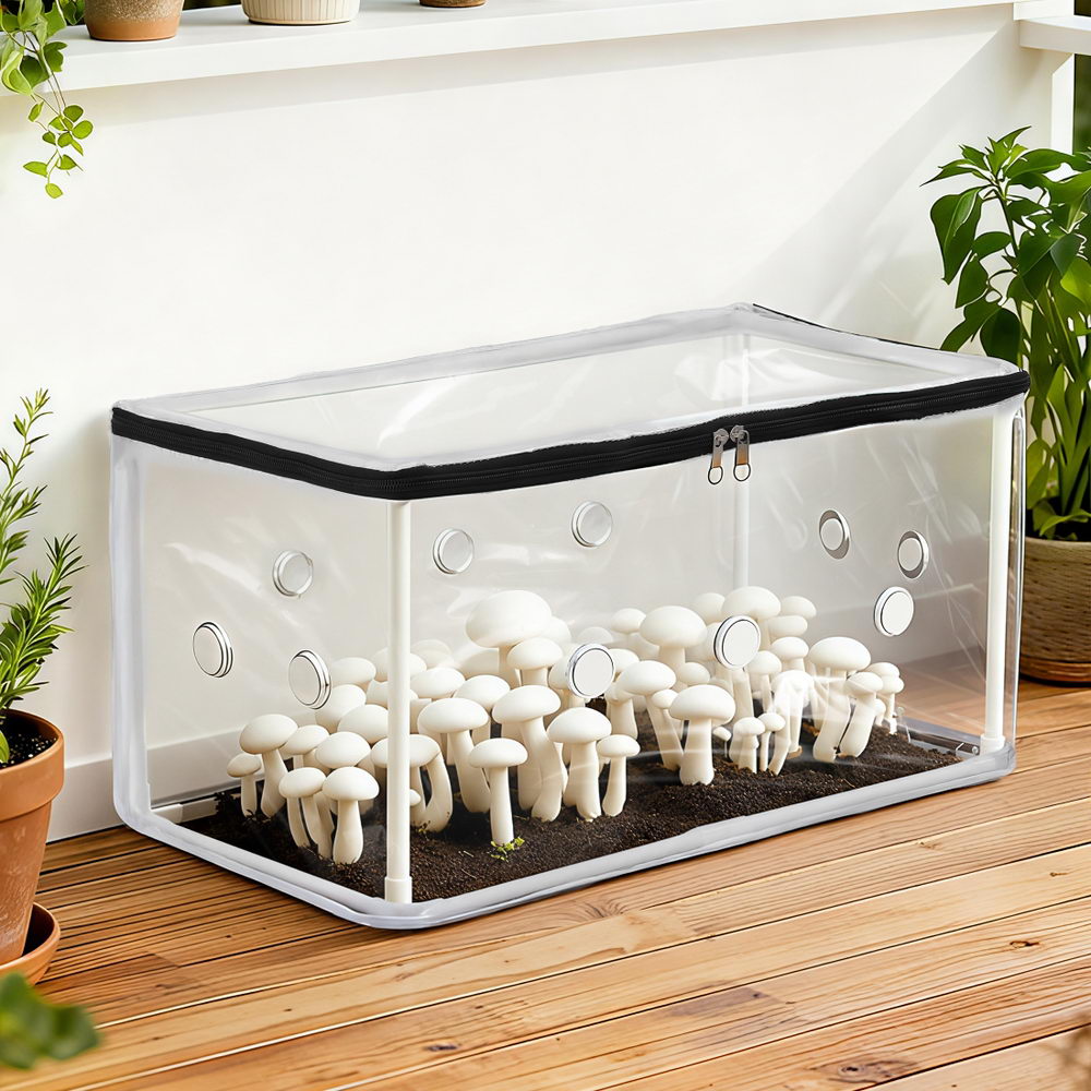Mini Greenhouse | 50x25x25cm | PVC Cover | For Mushrooms & Succulents