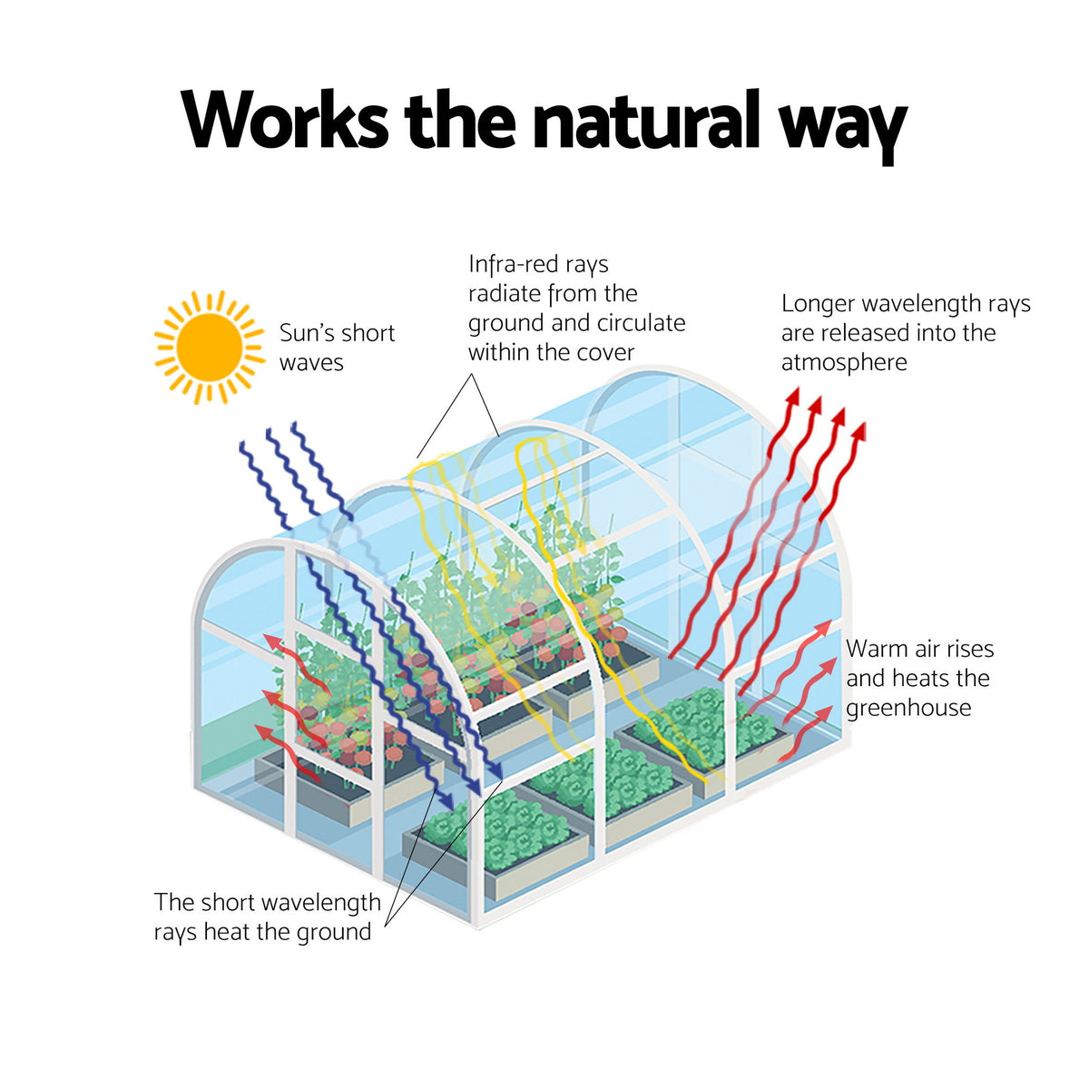 Walk-In Greenhouse 3x2x2m | Outdoor Garden | Steel Frame | White Cover