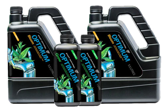 GT Optimum Bloom A+B | 1L