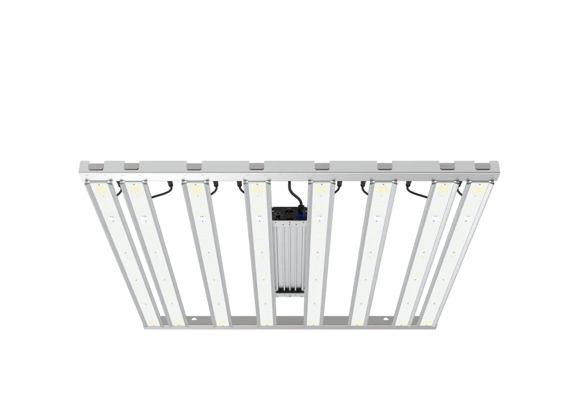 Grand Master LED Tarantula Tent Ultimate 760W (4×4) | Full Spectrum | PPF 2105 µmol/s | 2.77 µmol/J