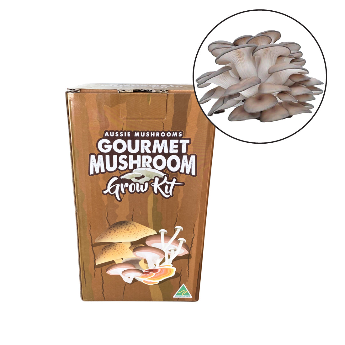 Grey Oyster Mushroom Grow Kit | Aussie Mushrooms