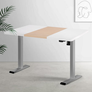 Artiss Standing Desk | Electric Sit Stand Desk | 120CM