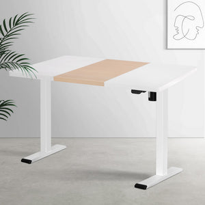 Artiss Standing Desk | Motorised Sit Stand Desk | 120CM