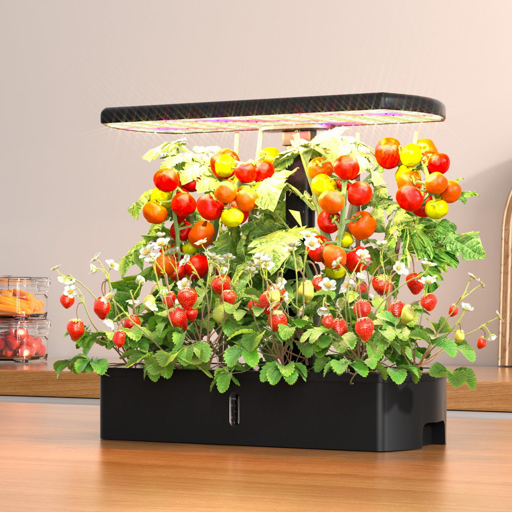 Green Fingers Hydroponics Growing System | LED Lights