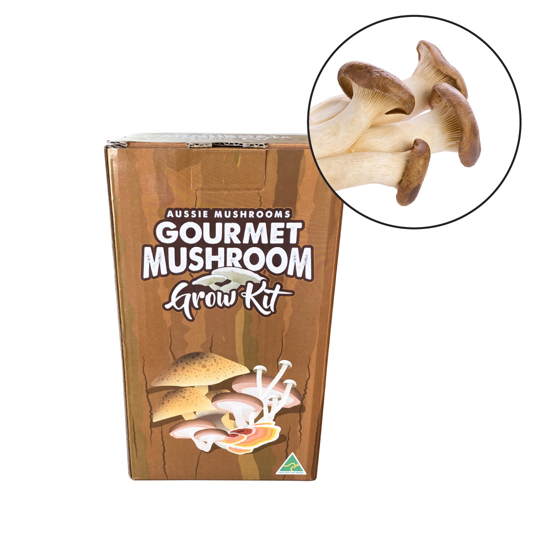 King Oyster Mushroom Grow Kit | Aussie Mushrooms