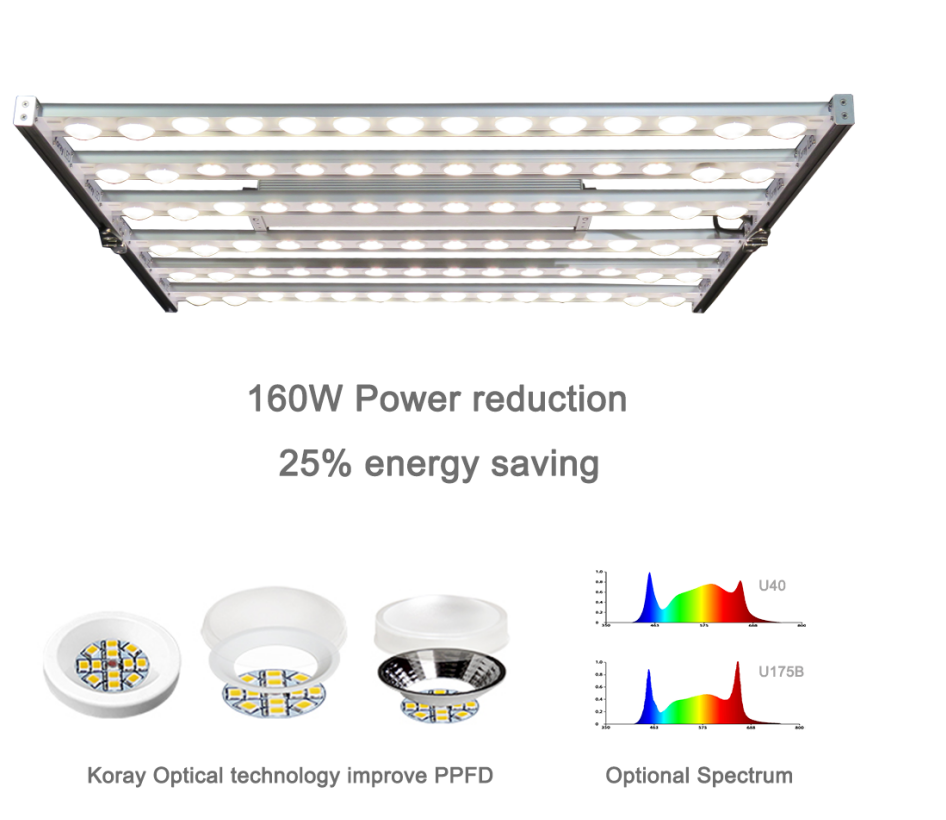 LED Grow Light | Koray G80 480 Watt | Samsung + Osram Diodes | Full Spectrum