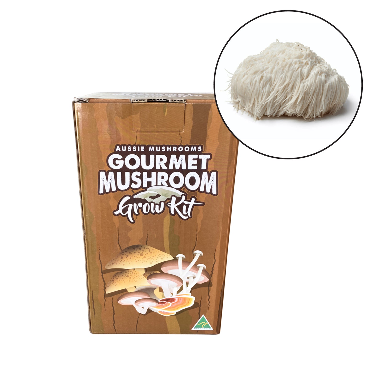 Lions Mane Mushroom Grow Kit | Aussie Mushrooms