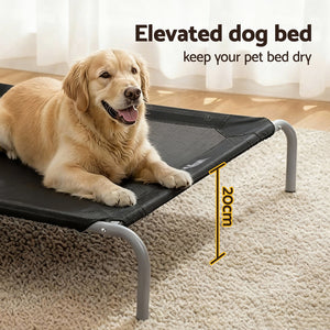 Elevated Dog Bed | Heavy Duty Trampoline Style | 90x137cm | Black